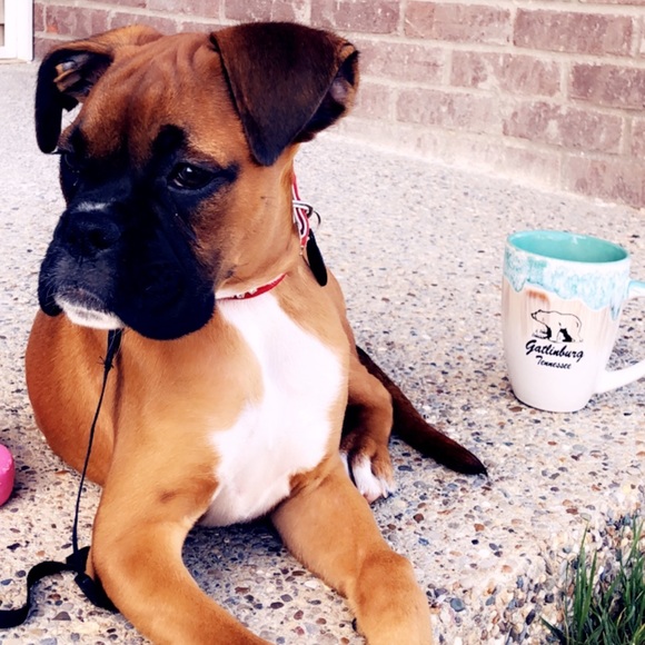 SO excited to posh with you — - Picture 2 of 3